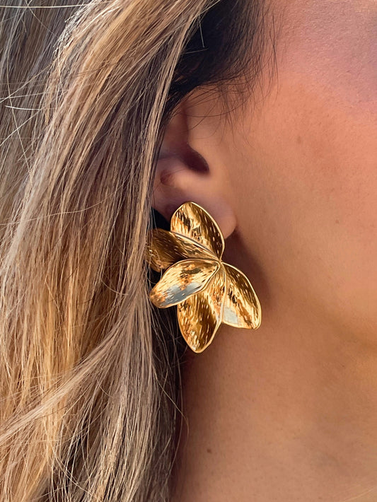 Amora Studs